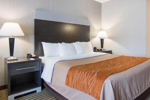 Comfort Inn Camden - image 6