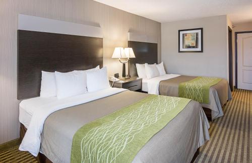 Comfort Inn Camden - image 8