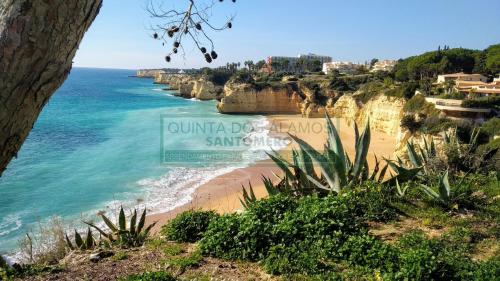 Beach, Apartamento AH in Guia