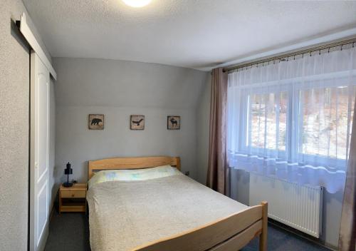 NOC W GÓRACH