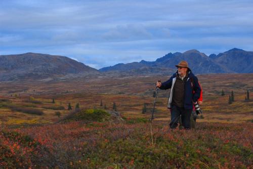 Caribou Lodge Alaska - image 7