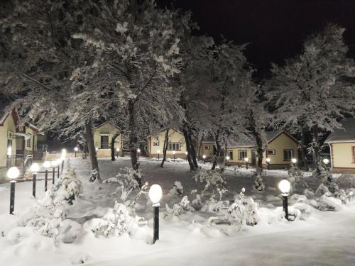 Selena in กูซาร์