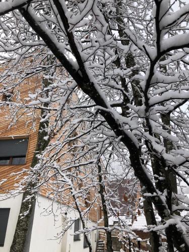 Zunanjost, Meshtekna in Prevalle