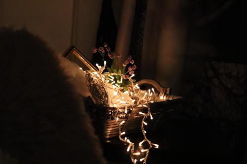 All Seasons Apartment