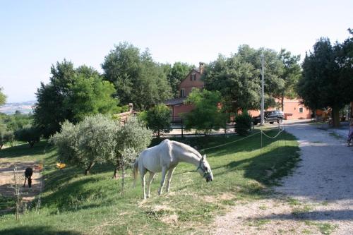 Casa Vacanze La Meridiana