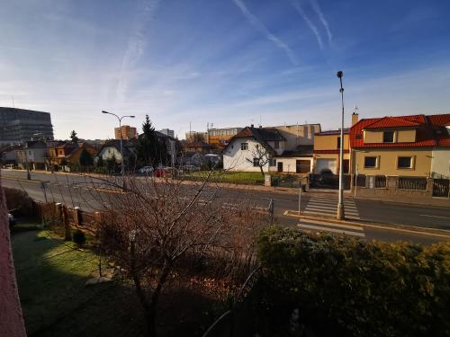 Pension Villa Marit, Praga (foto 3)