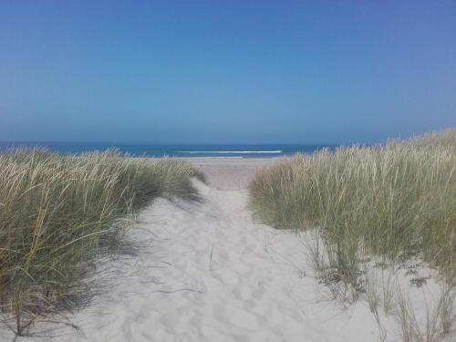 Lindholt in เฟียร์อิทสลิว