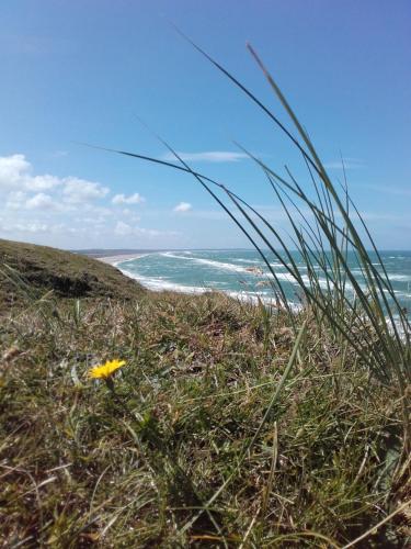 Lindholt in เฟียร์อิทสลิว