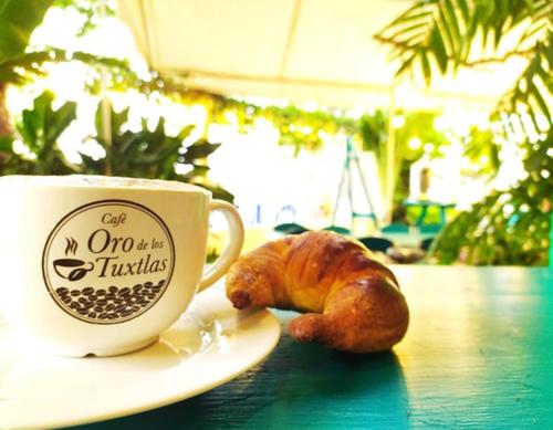 Casa del Cafe y Casa Rosa Catemaco