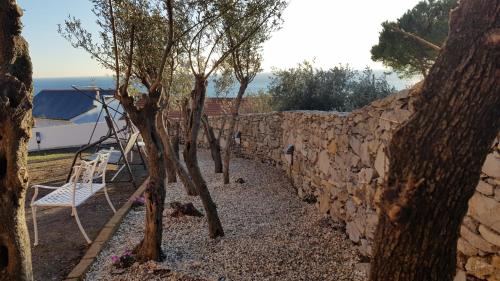 花園, Poggio degli Ulivi in 熱那亞海濱
