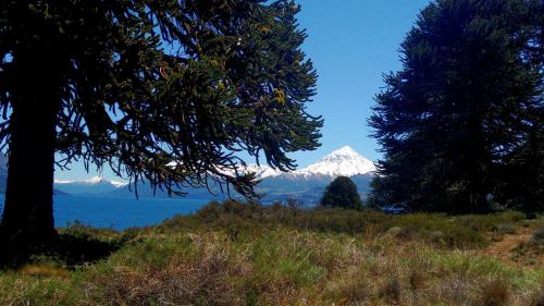 Cabanas Muller in Junín de los Andes