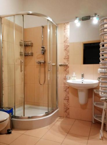 Apartament Radowid 15 w centrum z basenem, Zakopane (fotografie 8)