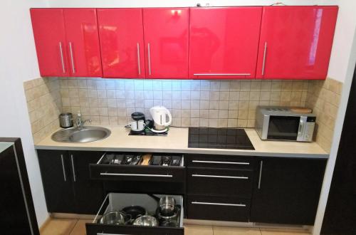 Apartament Radowid 15 w centrum z basenem, Zakopane (fotografie 10)