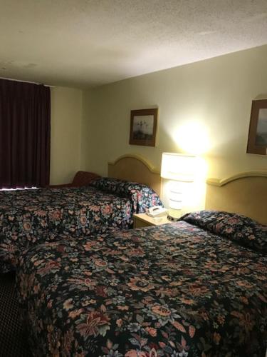WESTERN MOTEL - image 3