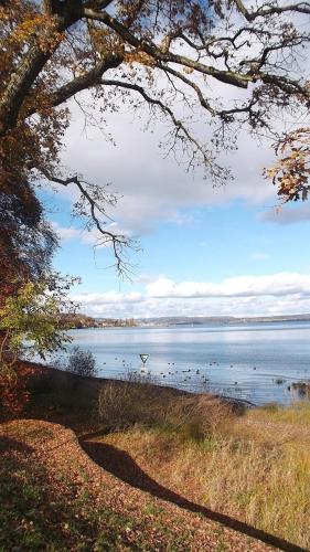 Haus Zur Gerberei 100 m zum Bodensee