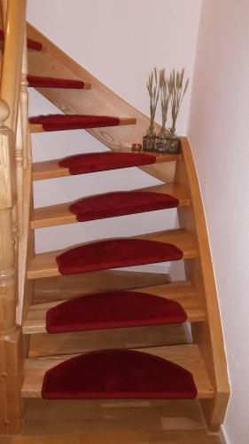 Haus Zur Gerberei 100 m zum Bodensee