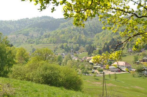 Appartement à Mitzach