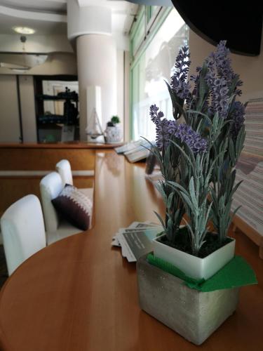 Hotel Aquamarina in Civitanova Marche