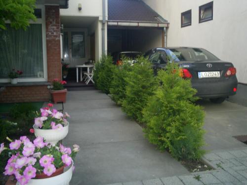 Éjjelibagoly Vendégház - image 9