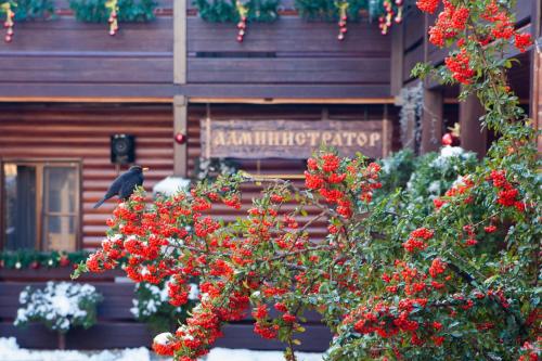 Guest house Kurshewel - image 8