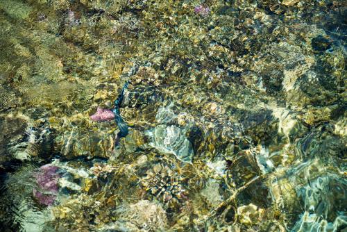 Amphoras Beach - Ultra All Inclusive - image 3