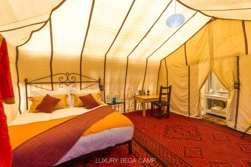 Luxury Bega Camp in Khamlia