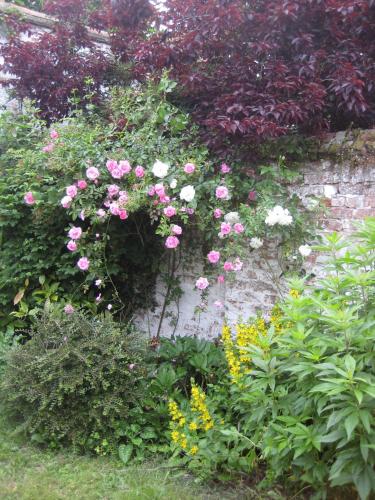 B&B Huis Willaeys – Bruges, CO