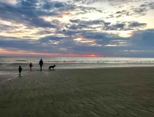 Strand, Les gîtes de la Courtille (Les gites de la Courtille) in Equihen-Plage