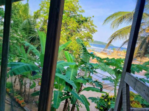 Scorpion Hill Lodge in Dixcove