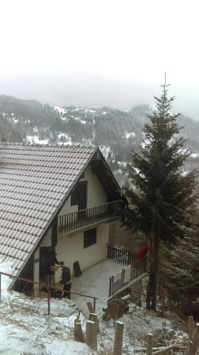 Holiday house Nesovic - image 8