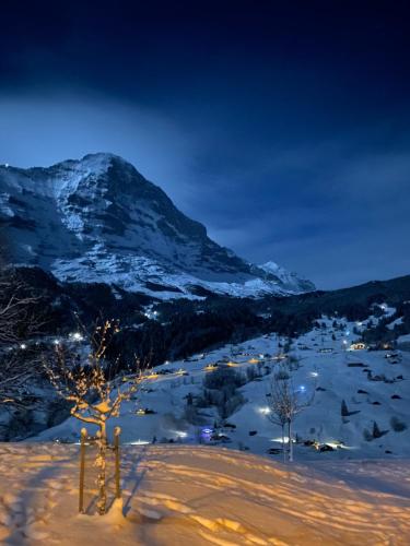 المنطقة المحيطة, شاليه هيرشافت (Chalet Herrschaft) in منطقة هيرشافت