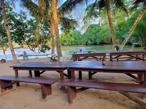 Scorpion Hill Lodge in Dixcove