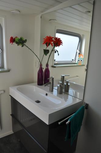 Private Lodge on Houseboat Amsterdam, Amsterdam (photo 6)