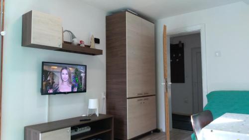 Apartman Vukašin - image 10