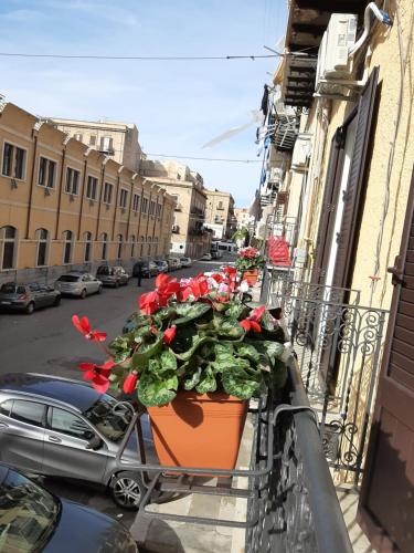 A Casa di Josephine, Palermo (fotografie 3)