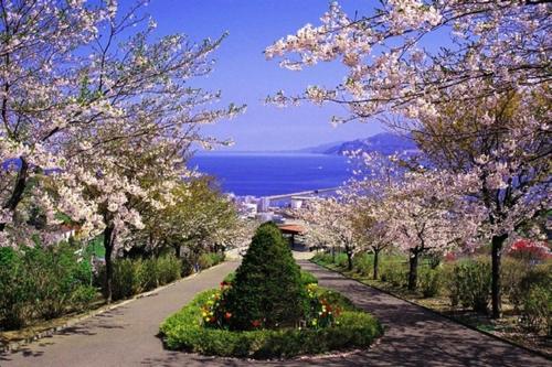 Otaru Sikkui