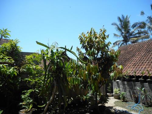 발리 Ming Homestay 2성급 싱글룸 수영장