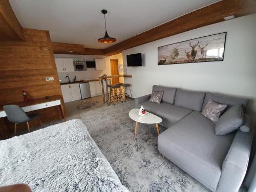 Apartamenty Pod Tatrzańskim Niebem - Apartment - Zakopane