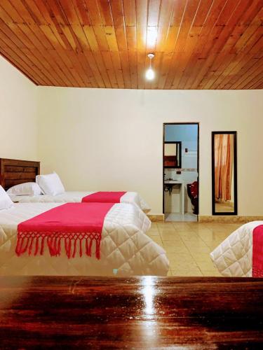 HOTEL CASA D'LINA CENTRO – San Cristobal, SC