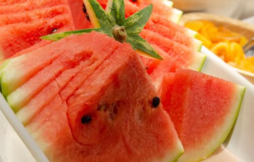 233714363 Ski Plaza Hotel & Wellness