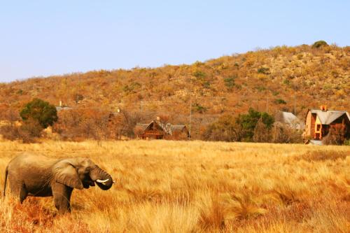 Kololo Game Reserve