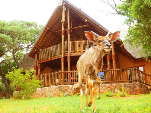 Kololo Game Reserve