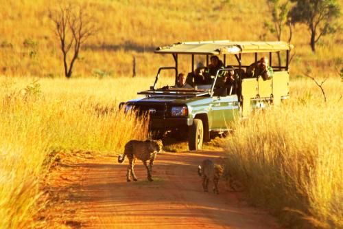 Kololo Game Reserve