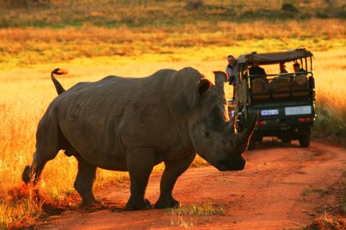 Kololo Game Reserve