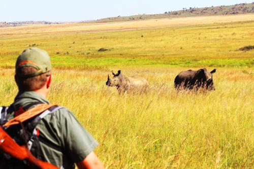 Kololo Game Reserve