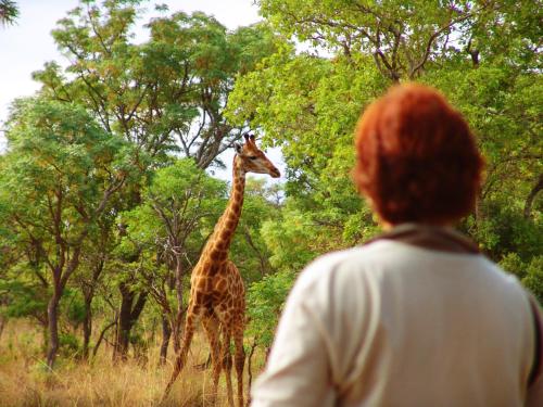 Kololo Game Reserve