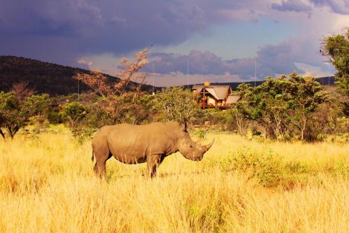 Kololo Game Reserve