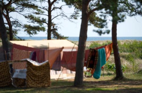 Dueodde Camping Room Type - Basic Tent site incl. electricity (bring your own tent)