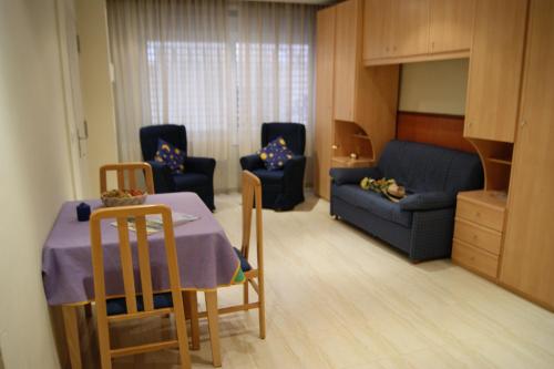 Agi Sant Antoni - image 10