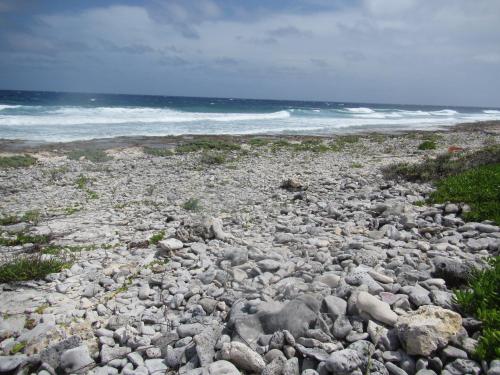 Cayman Breakers